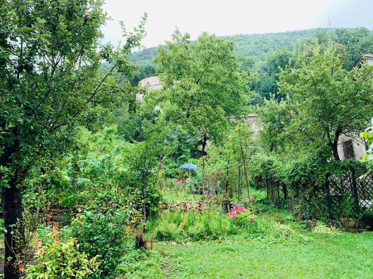 Maan Central Apartment Pet Friendly Location Braşov Exterior foto