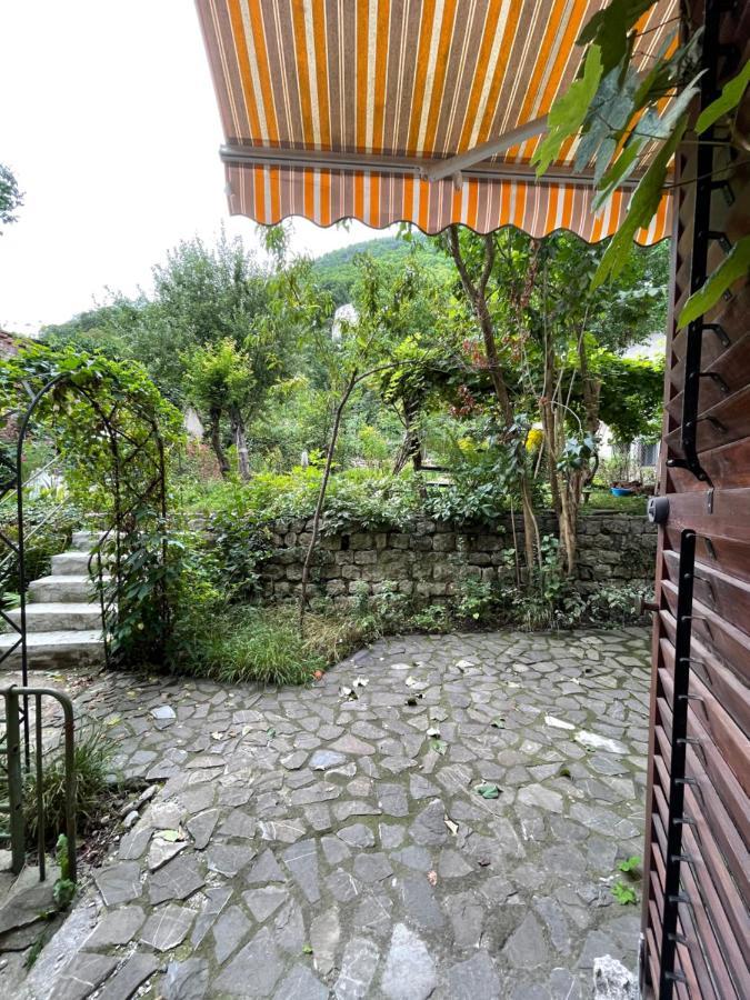 Maan Central Apartment Pet Friendly Location Braşov Exterior foto